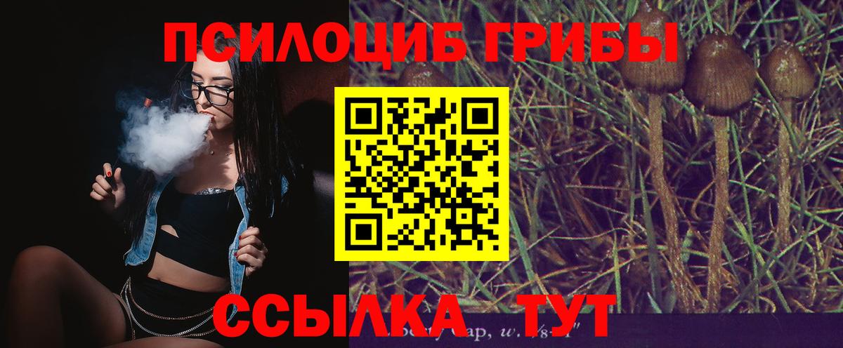 Казань  Галлюциногенные грибы GOLDEN TEACHER  Галлюциногенные грибы Cubensis  Вход с VPN 