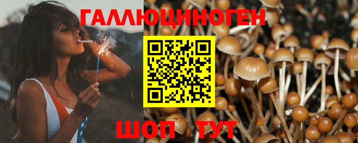 Галлюциногенные грибы прущие грибы Казань